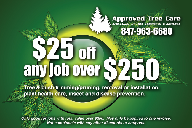 Approved Tree Care - Coupon - Summer 2012