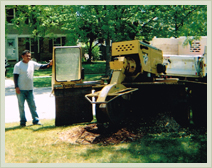 Approved Tree Care - Tree and Sump Removal