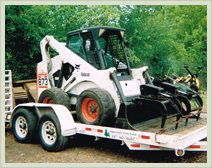 Approved Tree Care - Bobcat