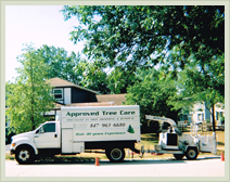 Approved Tree Care - Stump Removal - Chipper